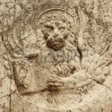 Aslan Define İşareti