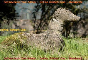 StoneDog