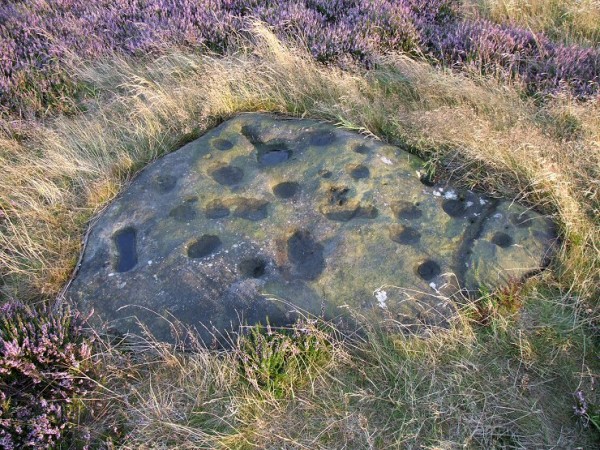 browmoorb