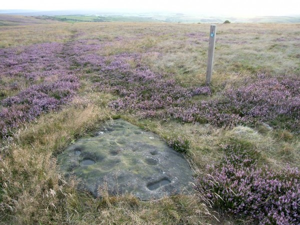 browmoorbwest