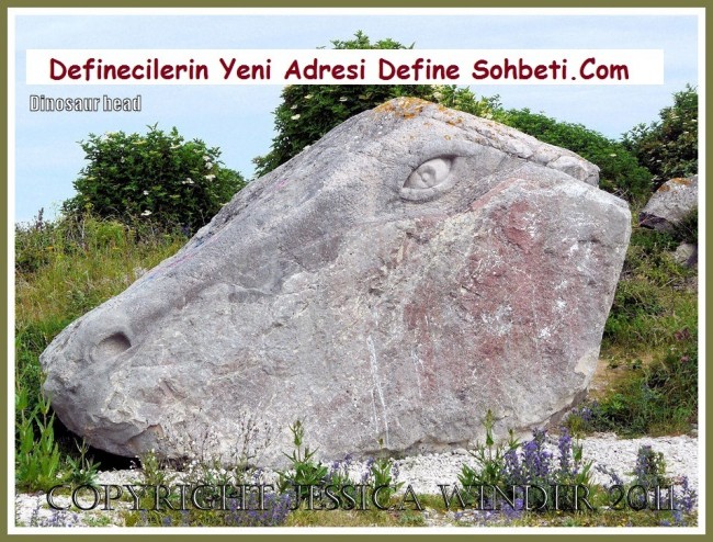 ejderha define işareti resimleri (2)