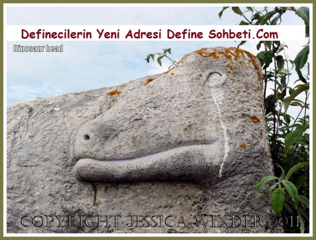 ejderha define işareti resimleri (3)