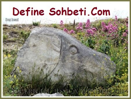 ejderha define işareti resimleri